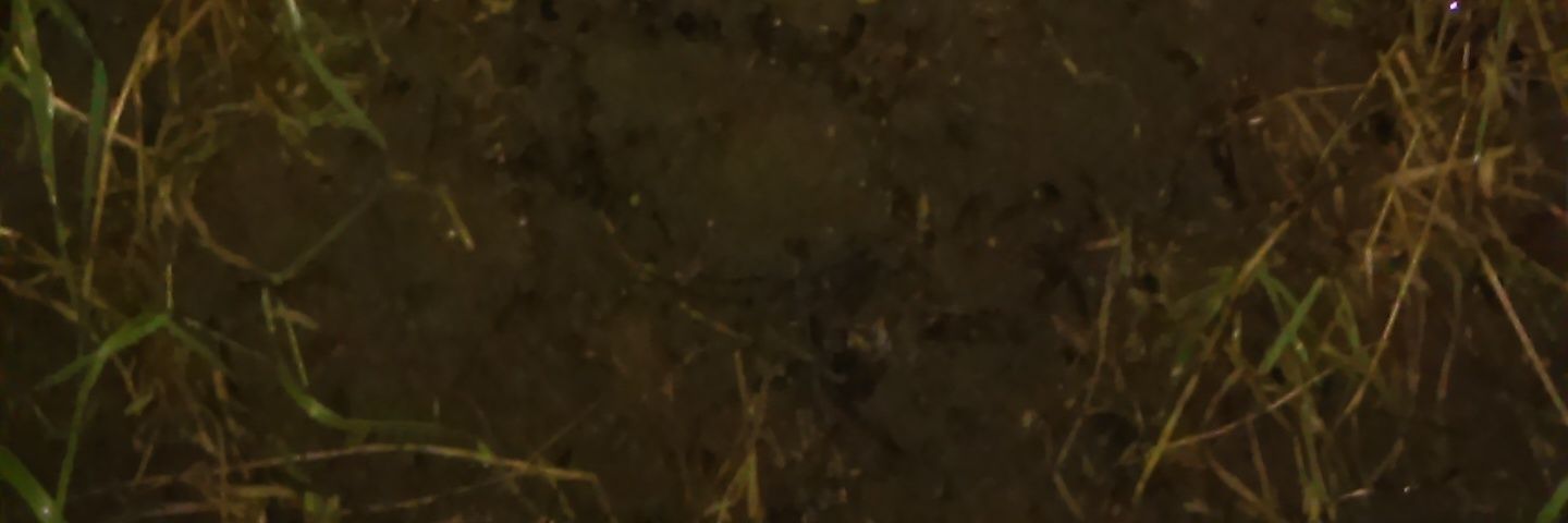 officialkillme's profile banner image