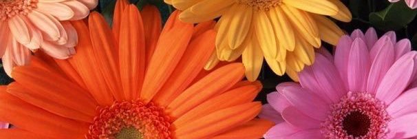 YazBruster's profile banner image