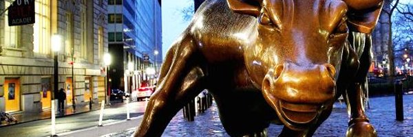 Ownlibs1 Profile Banner