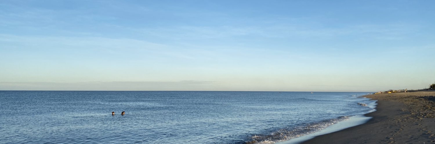 ranzelgm's profile banner image