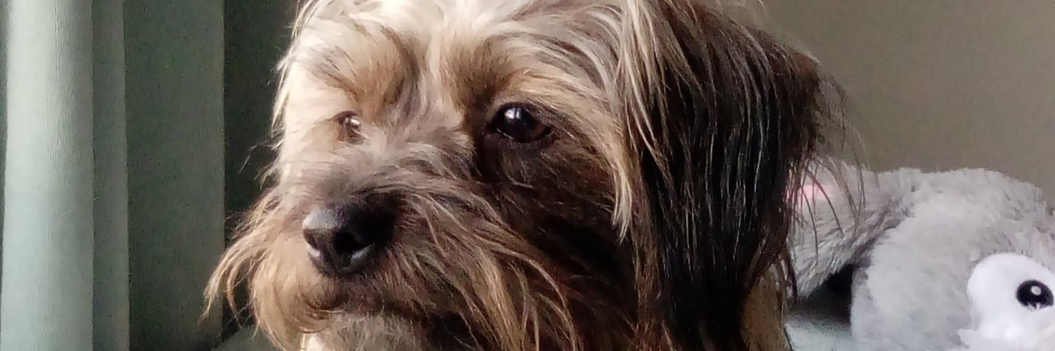 kathystrange1's profile banner image