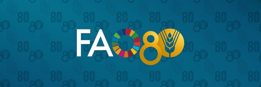 FAO Ethiopia's banner