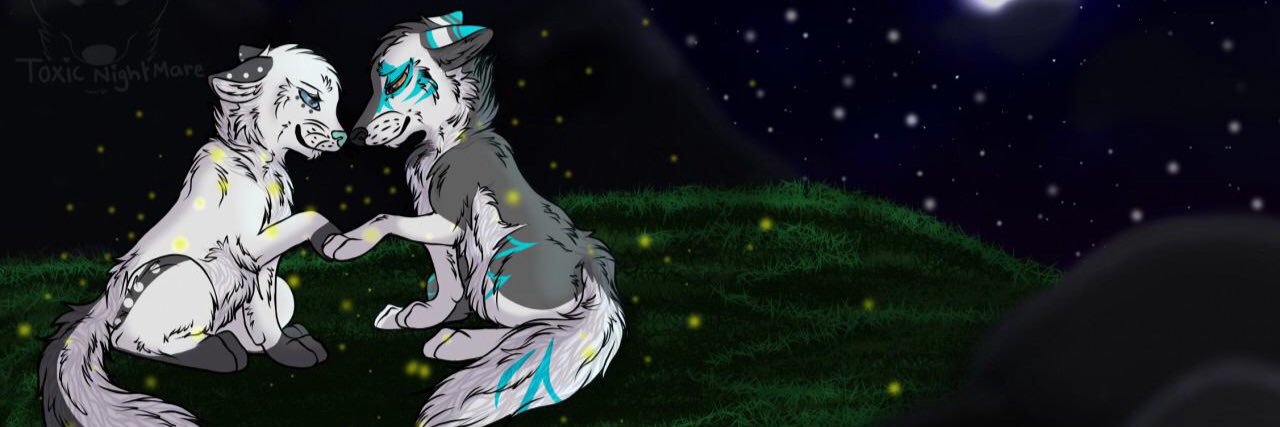 melancholyfox's profile banner image