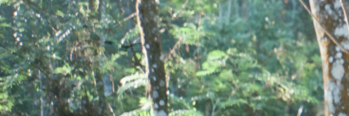 sadiqoptimum's profile banner image