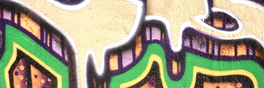 Monitor Lizzard banner