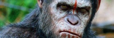 silence_kd's profile banner image