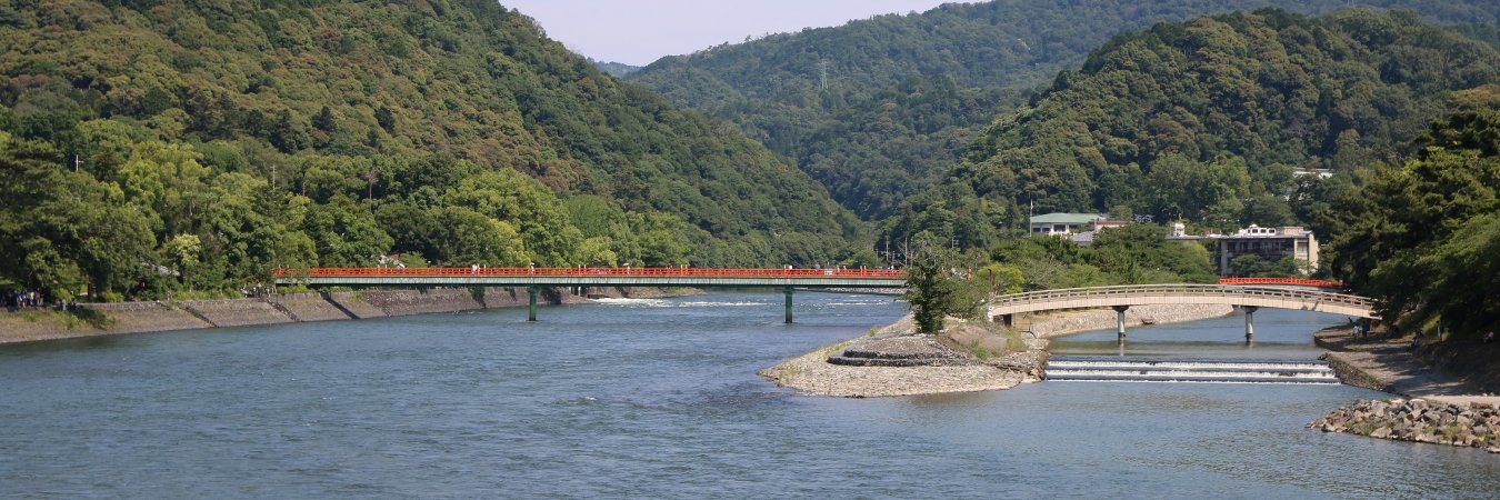 にゃん太郎 📸 4/10ネモフィラ祭→4/25､26超会議→5/5かみこす banner