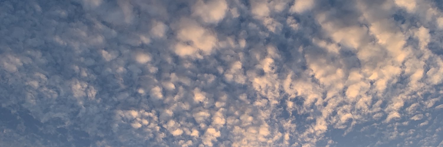 Sofiaa_Z's profile banner image