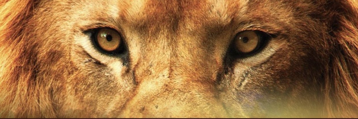 VERYMARY901's profile banner image