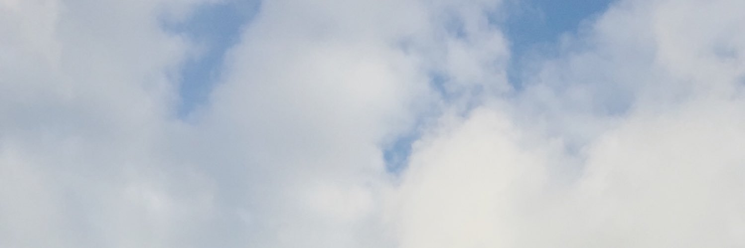 Dian banner