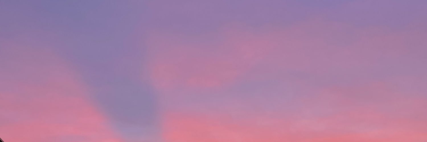 yzerdemm's profile banner image