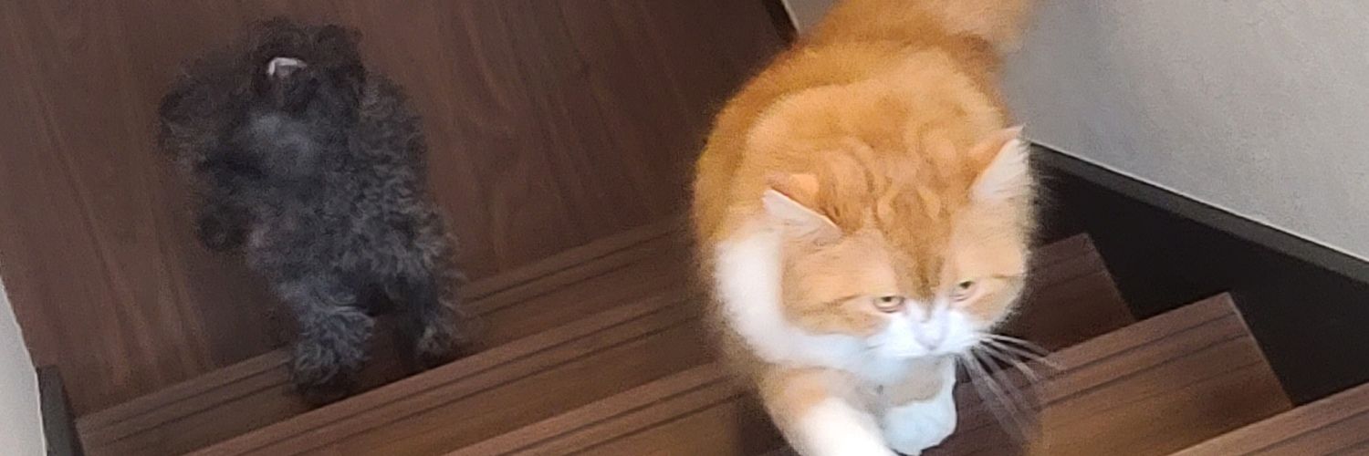 ksyro_om's profile banner image