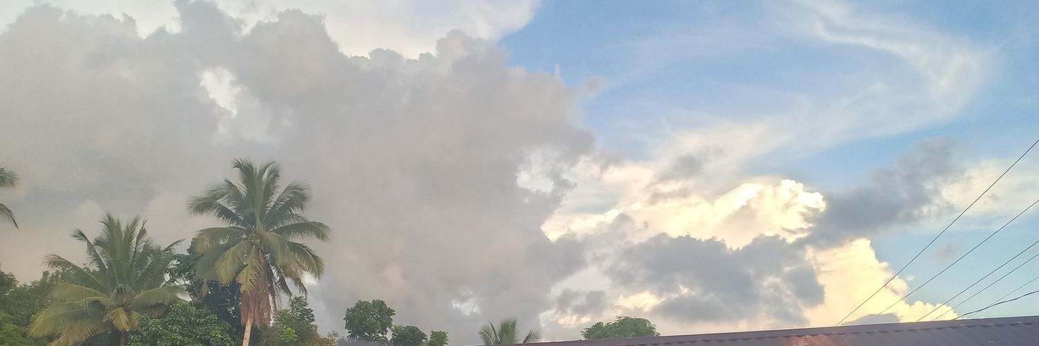 Howstin🧟💤 banner