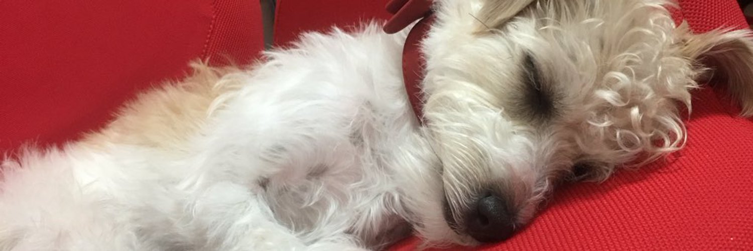 どら　さば banner