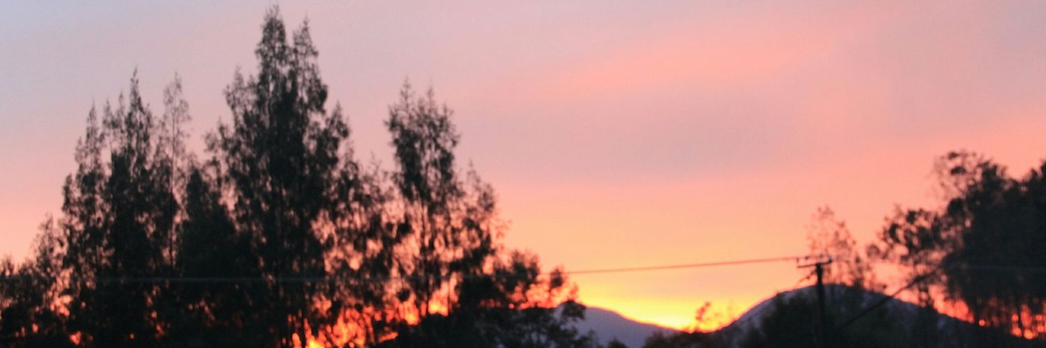risaayufzh's profile banner image