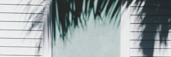 PaynoKingo's profile banner image