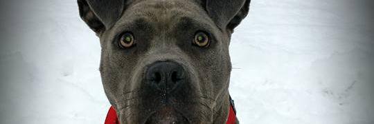 Cass6221's profile banner image