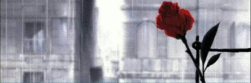 Cihan banner