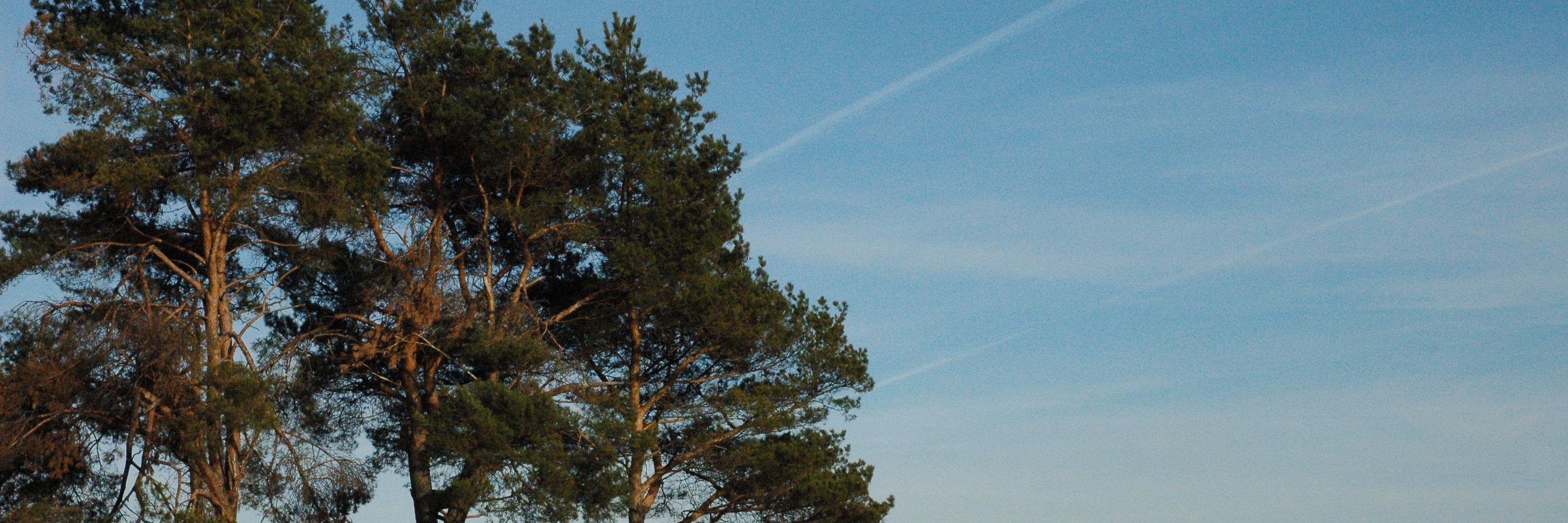 lewelewelew's profile banner image