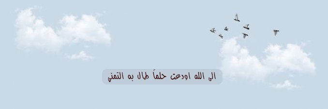 🐱 🇸🇦 banner