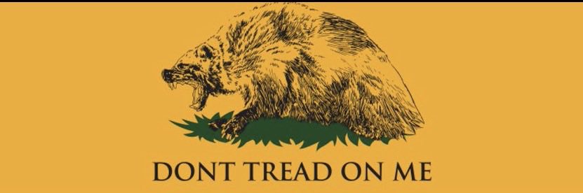 LongInTheTooth 🇺🇸🇵🇱 banner