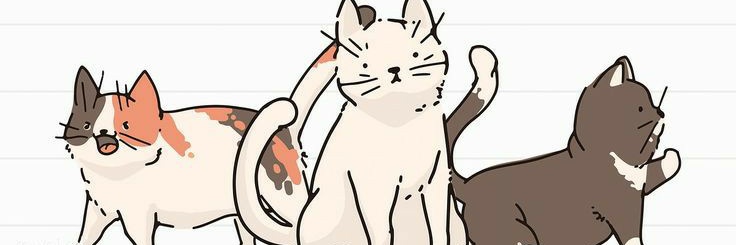 Erika ♡ banner