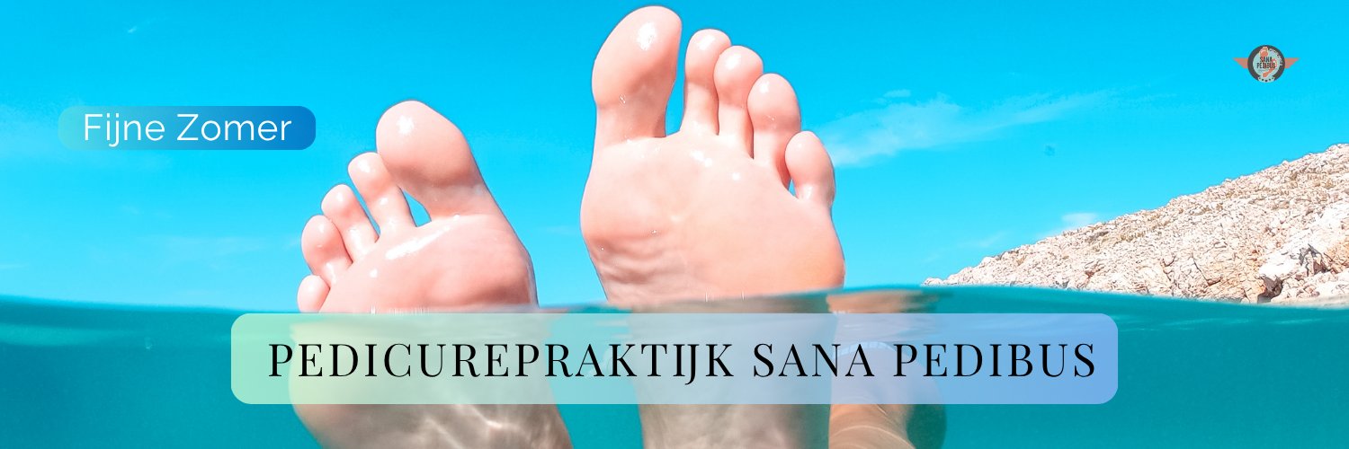 sanapedibus's profile banner image