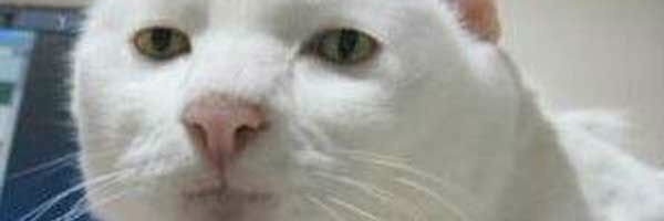 namfoonk's profile banner image