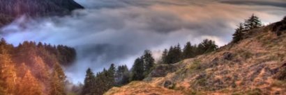 bellehalili's profile banner image