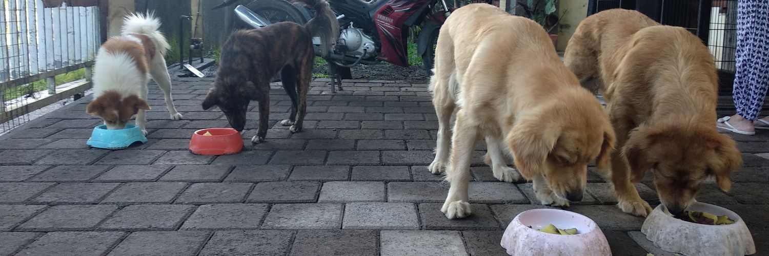 Bounty Hunter banner