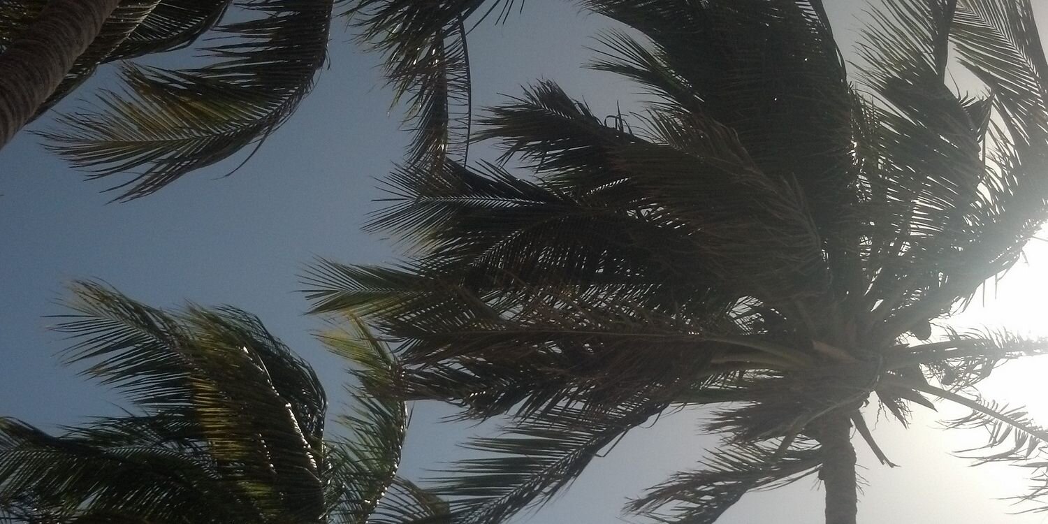 thekekz's profile banner image