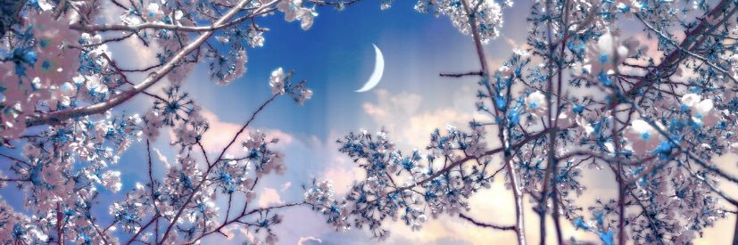 justinal_'s profile banner image