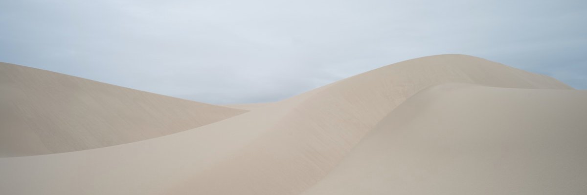 Daniel Gillet banner
