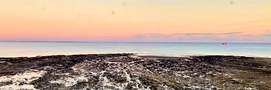 David Hodgkinson 📹 banner