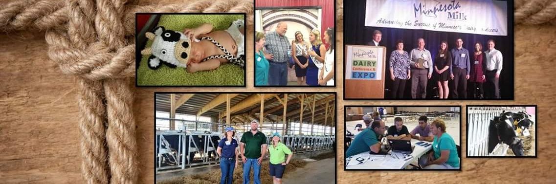 Minnesota Milk banner