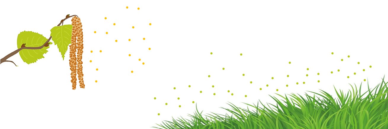 Irish Pollen Network banner