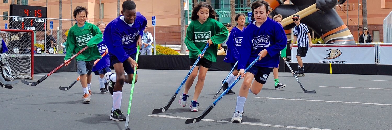 Ducks S.C.O.R.E. banner