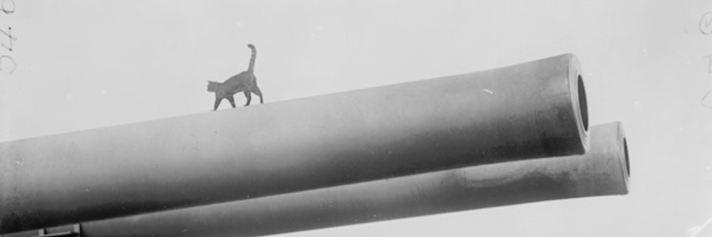 isdk77's profile banner image