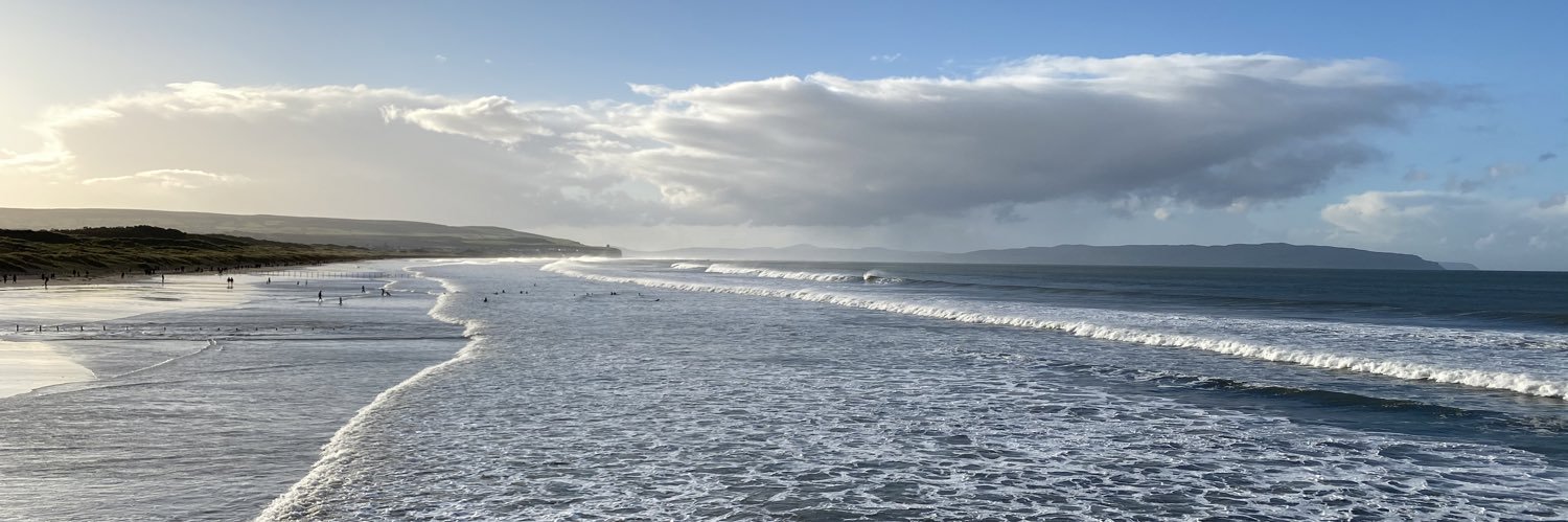 Michelle Napier banner