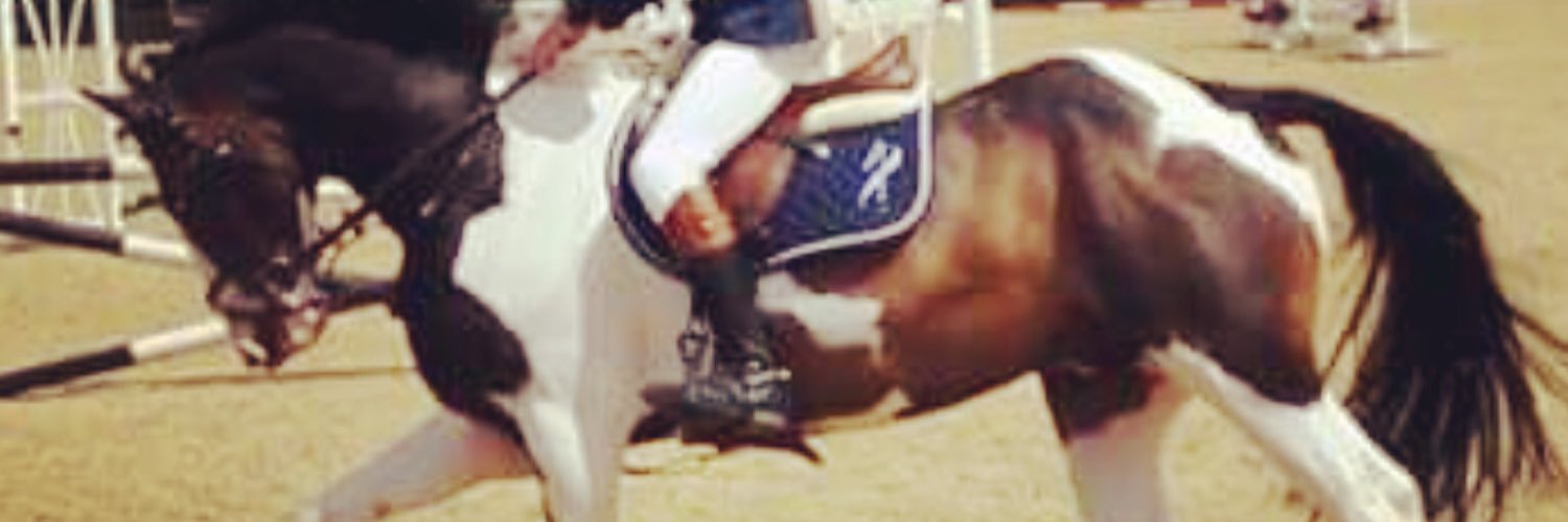 patch_whittle's profile banner image