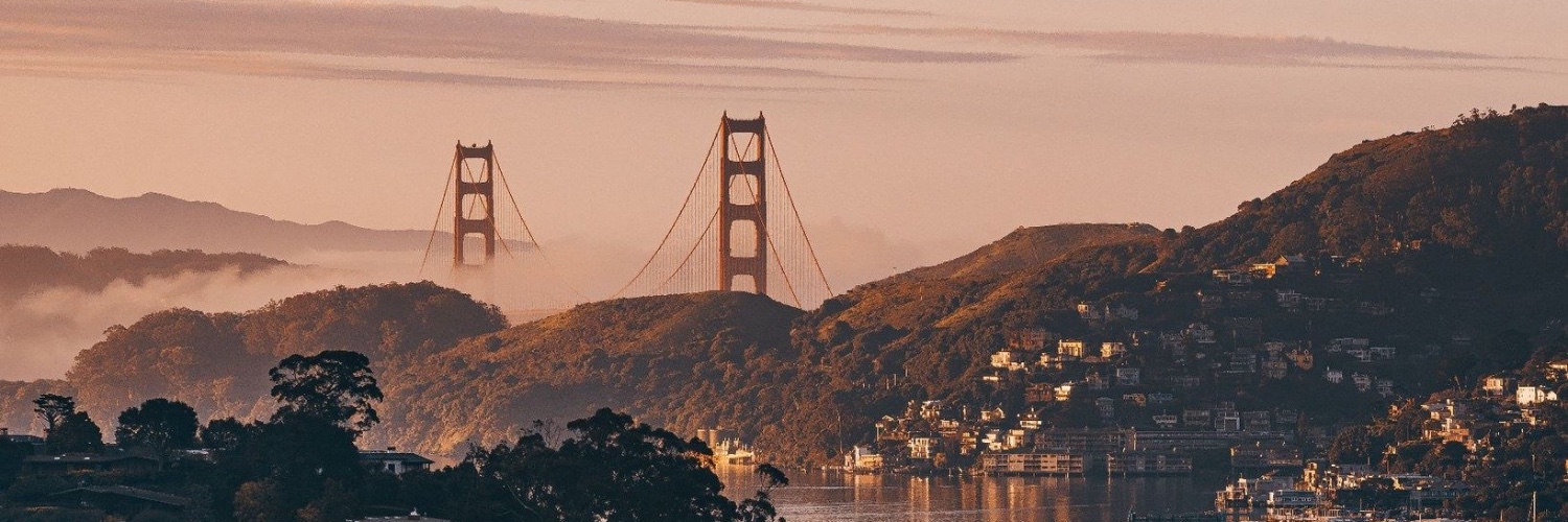 Alek Dimitriev banner