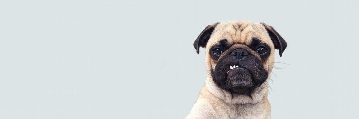 natanyaxo's profile banner image