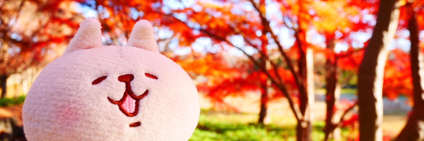 miroi's profile banner image