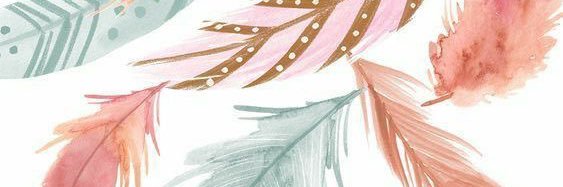 AlishaS2000's profile banner image