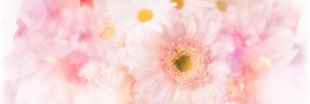 mnirio029's profile banner image