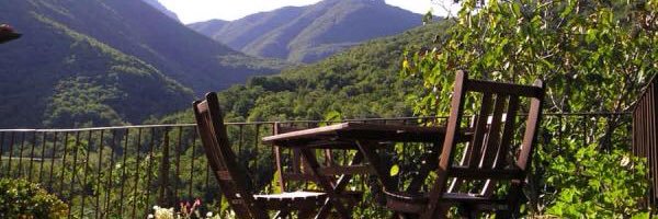 Tony Prosia banner