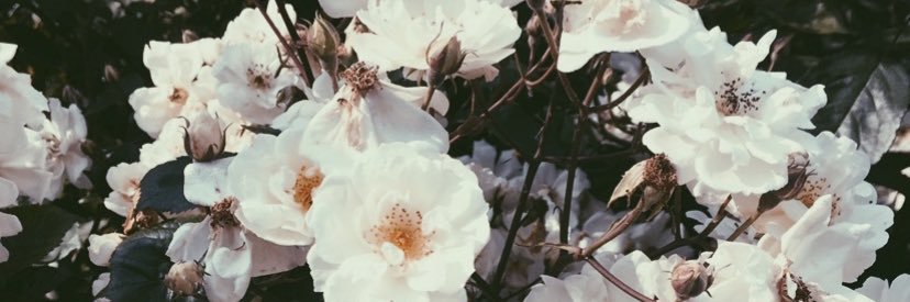 tashaaa96's profile banner image