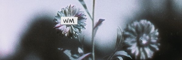 WillemijnMay Profile Banner