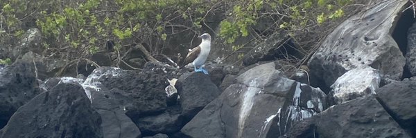 Yadiramillo Profile Banner