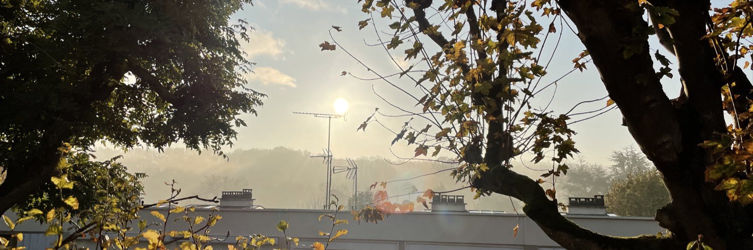 d2faie's profile banner image